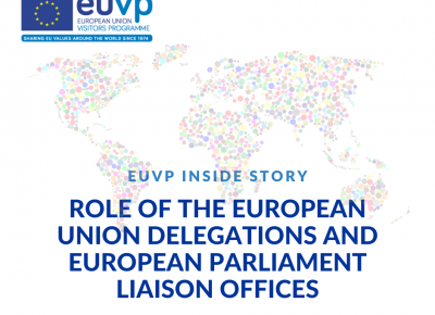 Image with the title "Role of the European Union Delegations and European Parliament Liaison Offices" and a world map in the background